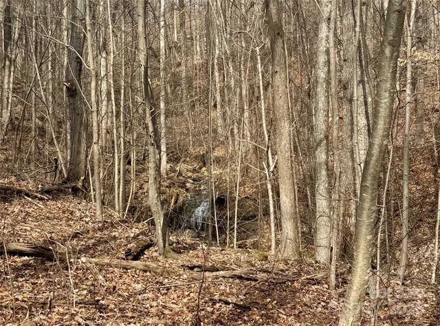a bathroom with a shower curtain