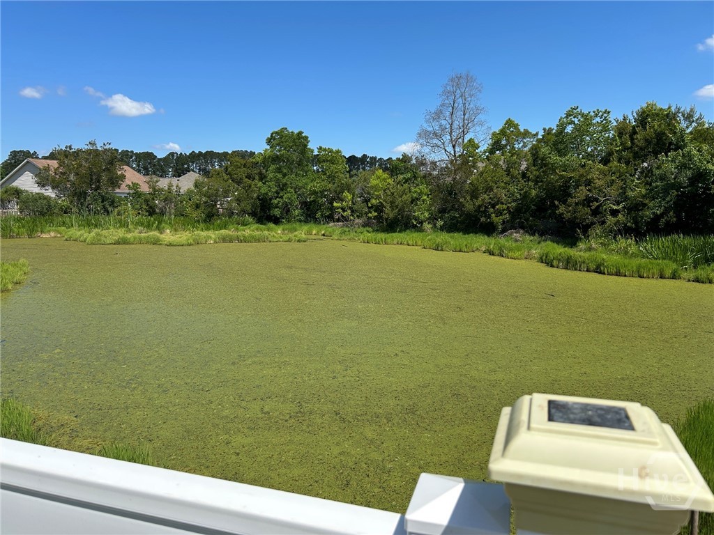 128 Berwick Lakes Boulevard Pooler, GA 31322 - Photo 28 of 30