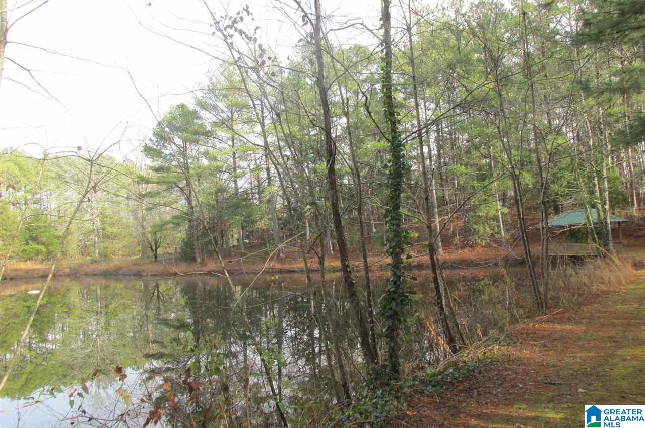 3764 New Liberty Road Wellington, AL 36279 - Photo 19 of 23 Gallery Image 19
