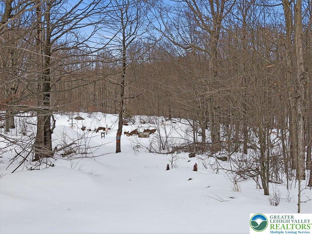 134 Split Rock Road Newfoundland, PA 18445 - Photo 68 of 84