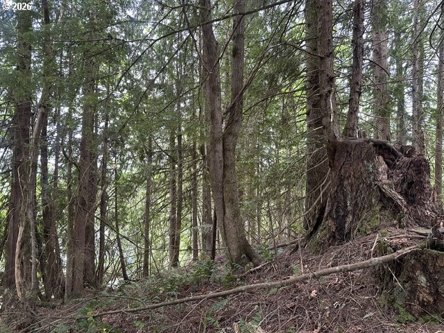 H Street Vernonia, OR 97064 - Photo 21 of 21