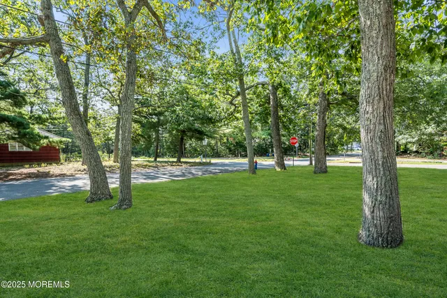 a view of park space