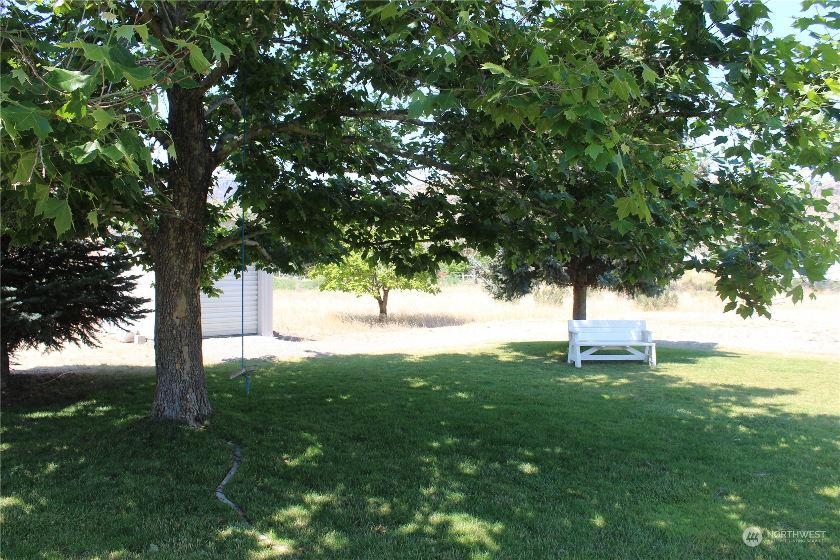 145 Pharr Road Riverside, WA 98849 - Photo 33 of 38 a view of backyard with tree