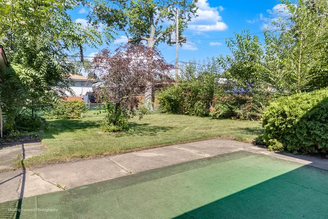 a view of a park with large trees