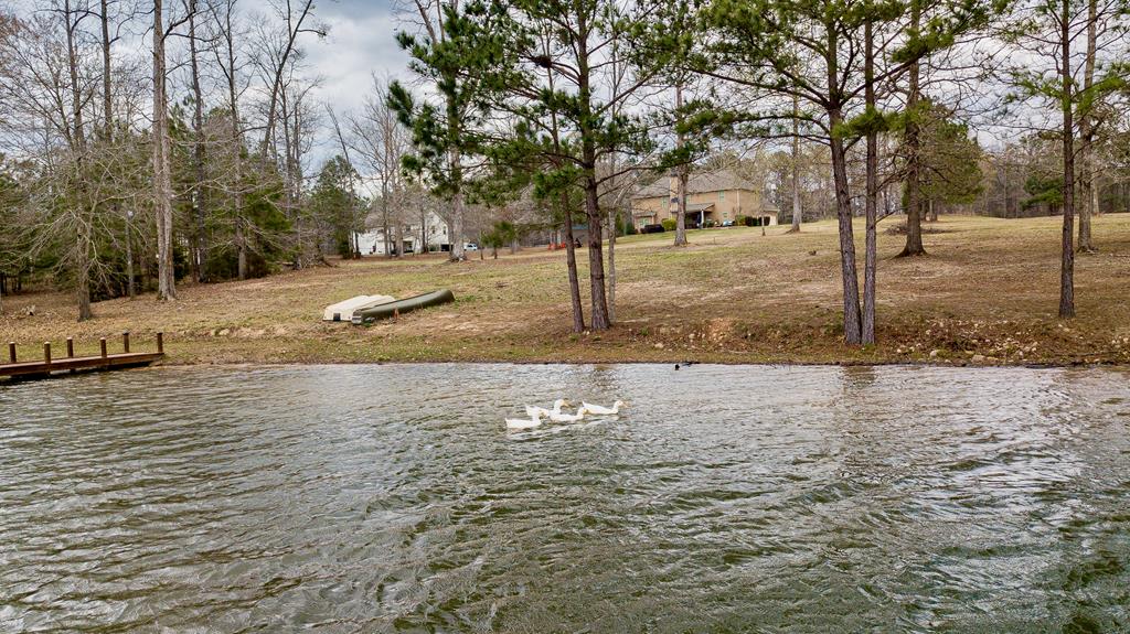 696 McKee Road Waverly Hall, GA 31831 - Photo 61 of 67 Gallery Image 61