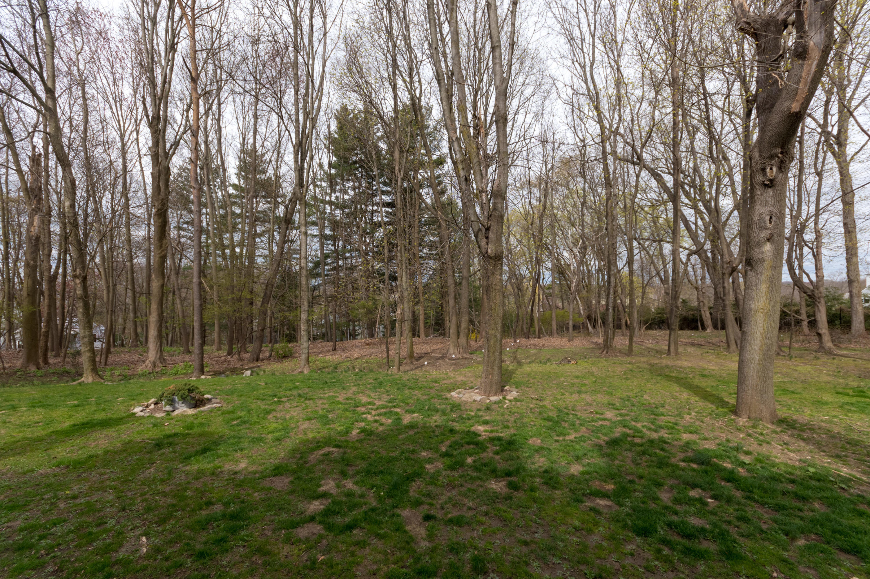 106 Long Neck Point Road Darien, CT 06820 - Photo 43 of 48 a backyard of apartments with trees