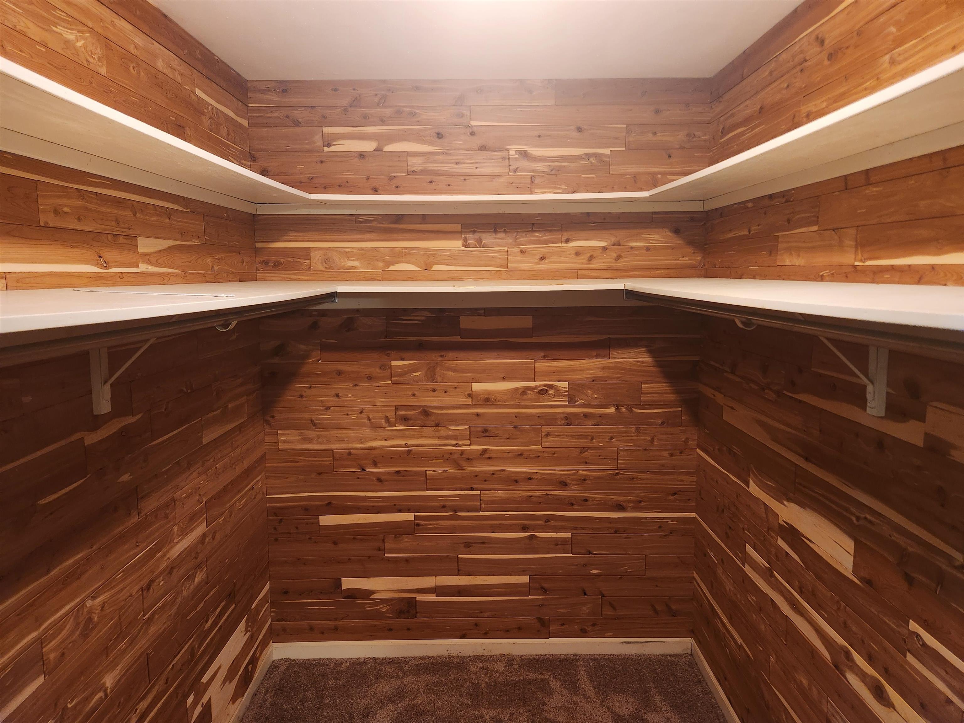 7505 Dexter Road Cordova, TN 38016 - Photo 18 of 27 Walk in closet with carpet