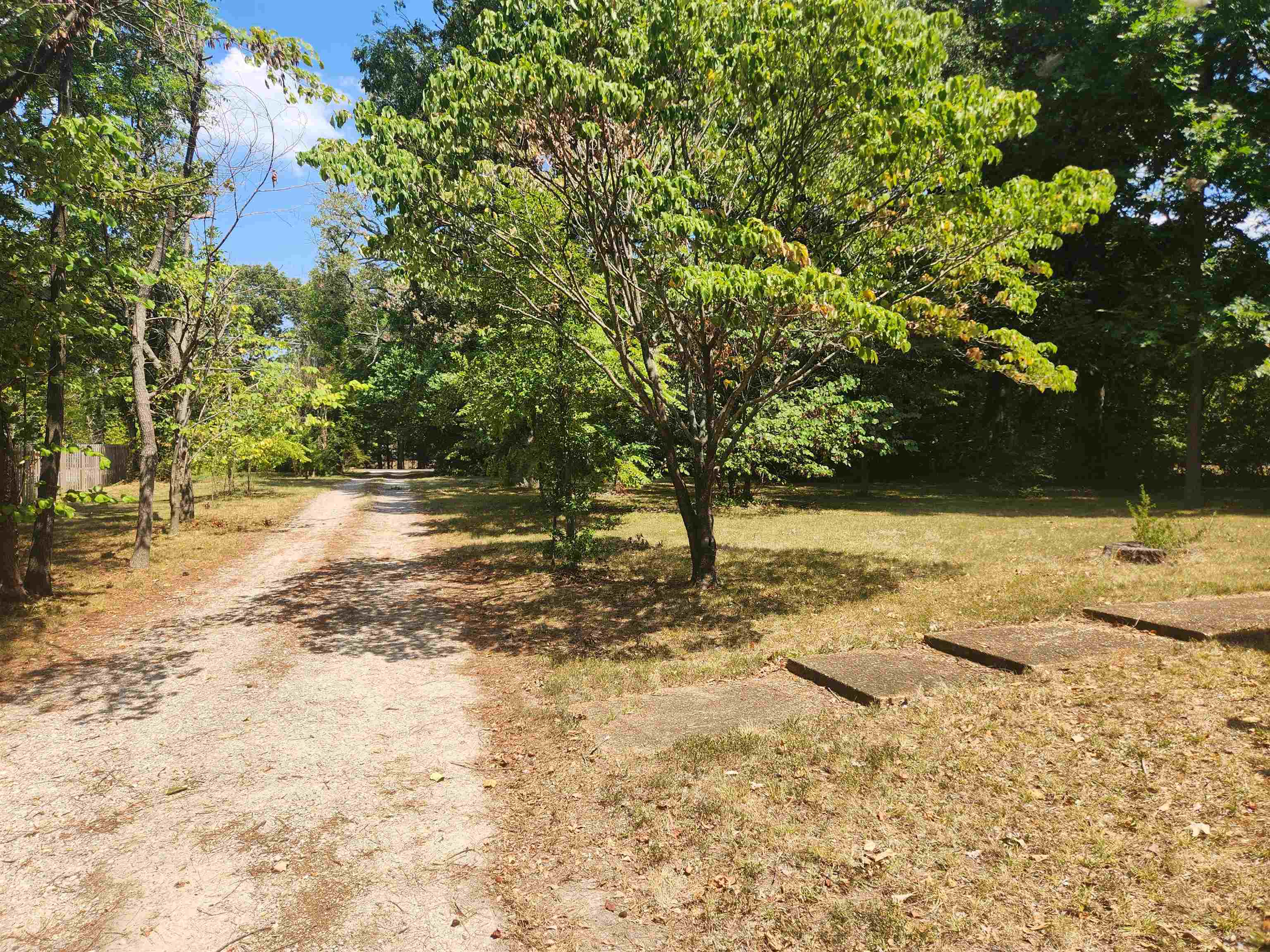 7505 Dexter Road Cordova, TN 38016 - Photo 2 of 27 View of street