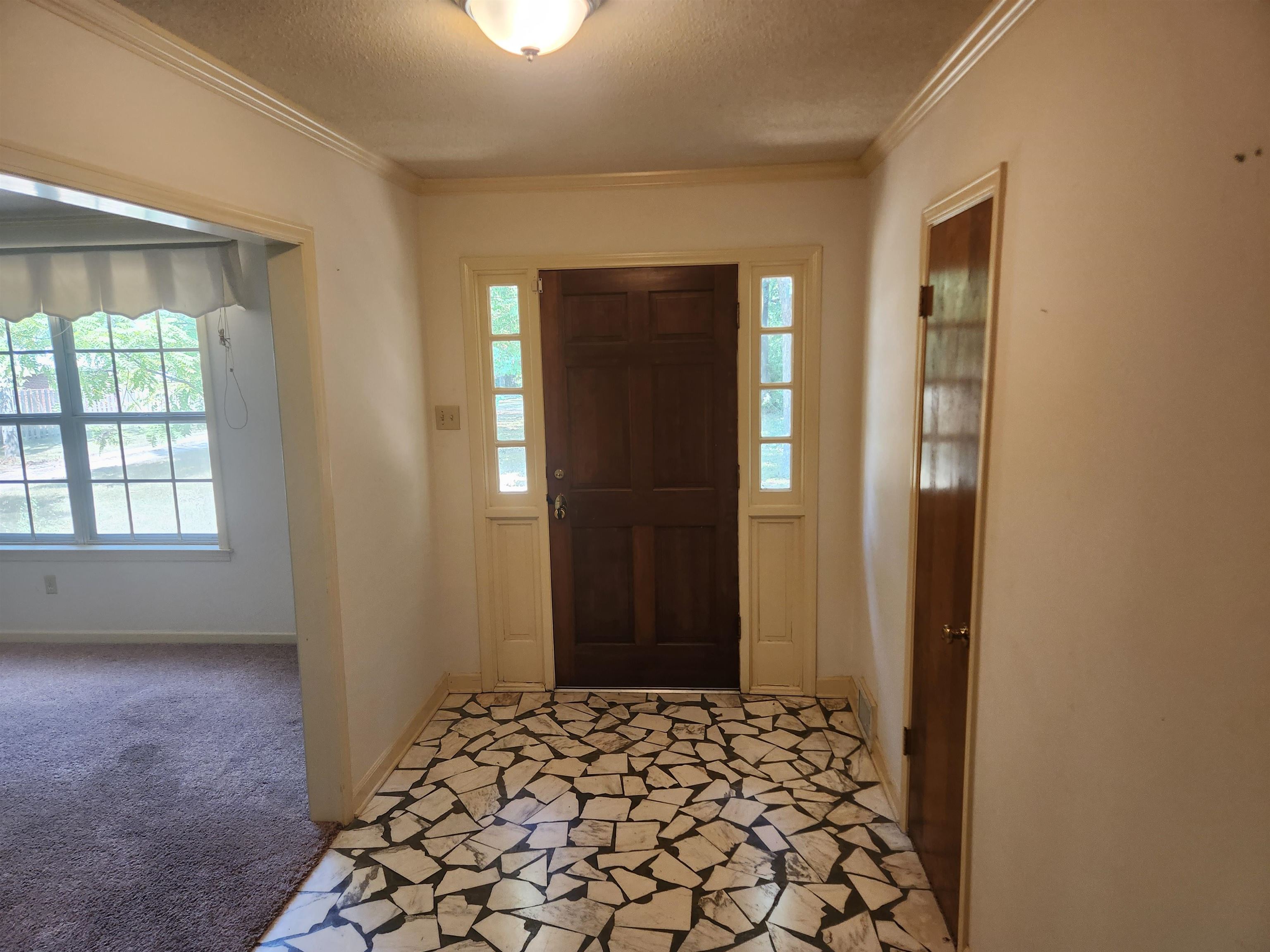 7505 Dexter Road Cordova, TN 38016 - Photo 4 of 27 Foyer with ornamental molding, light carpet, and a healthy amount of sunlight
