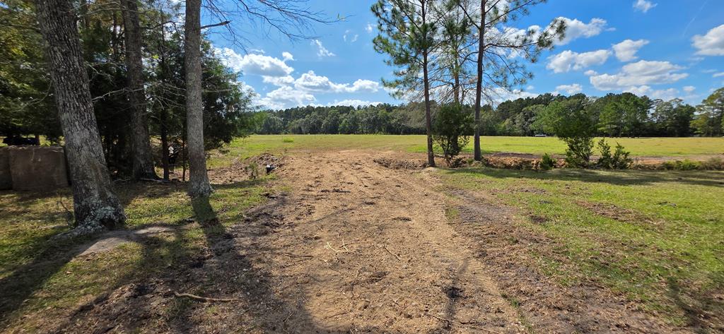5.8-acres Nobles Road Cottonwood, AL 36320 - Photo 20 of 29