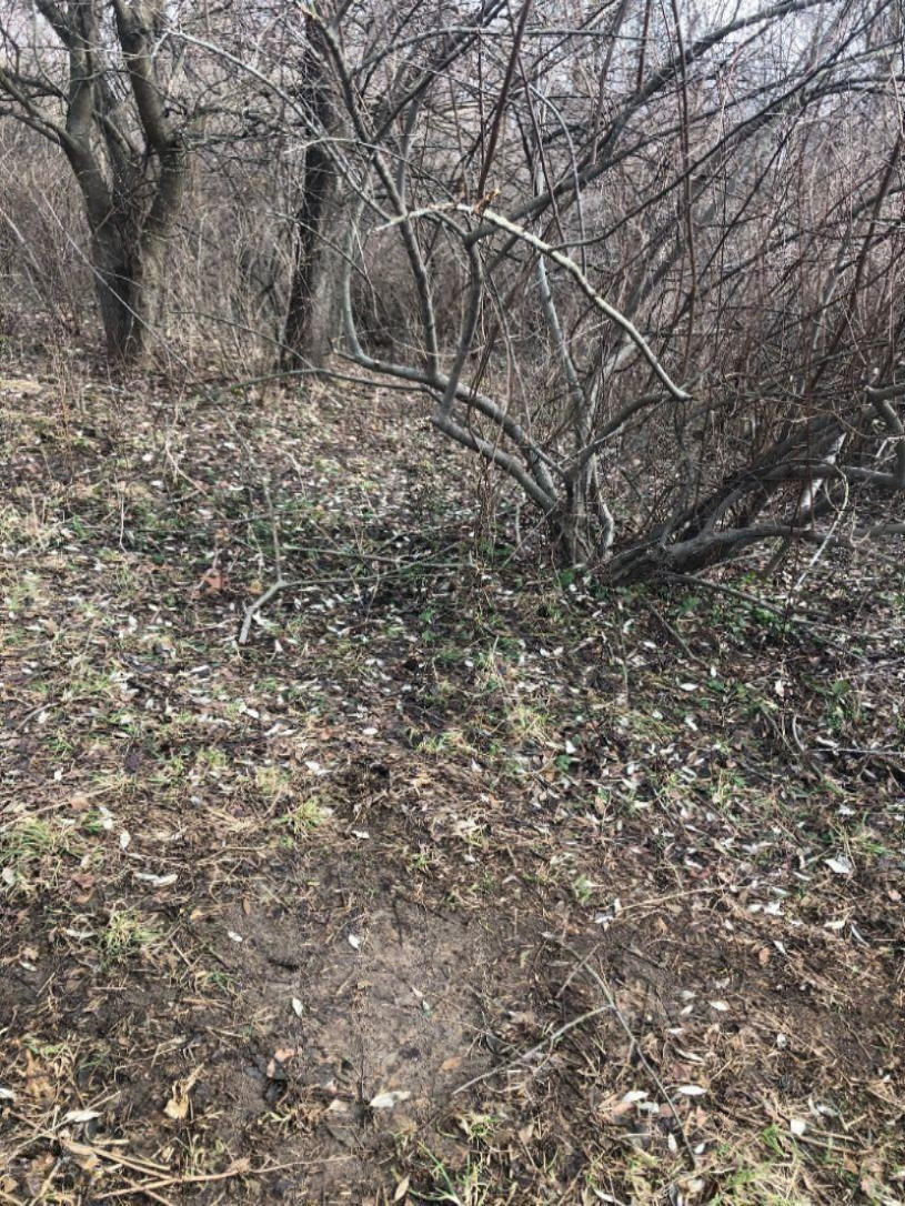 1803 120th Avenue Hopkins, MI 49328 - Photo 11 of 20 11