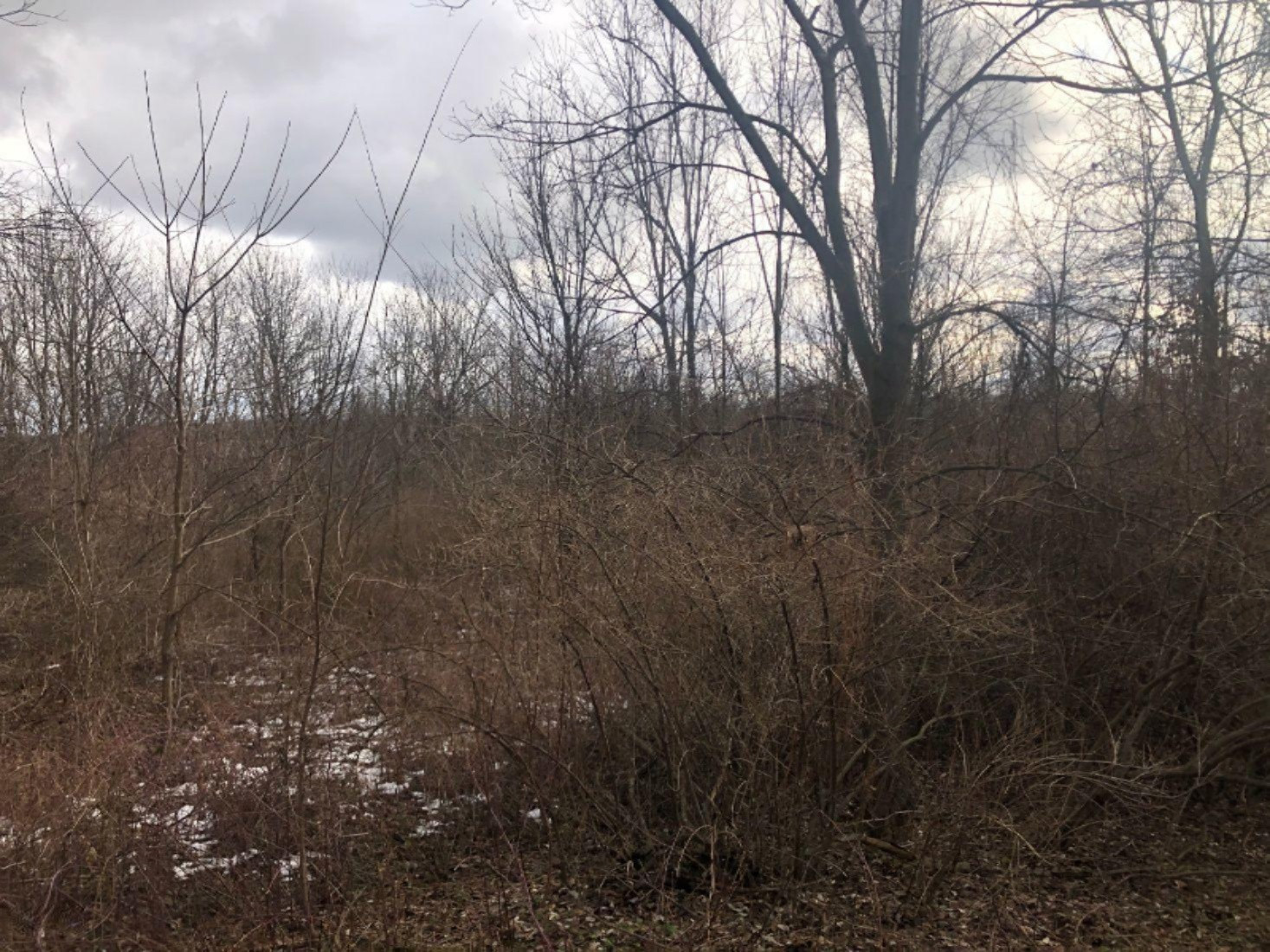 1803 120th Avenue Hopkins, MI 49328 - Photo 13 of 20 13