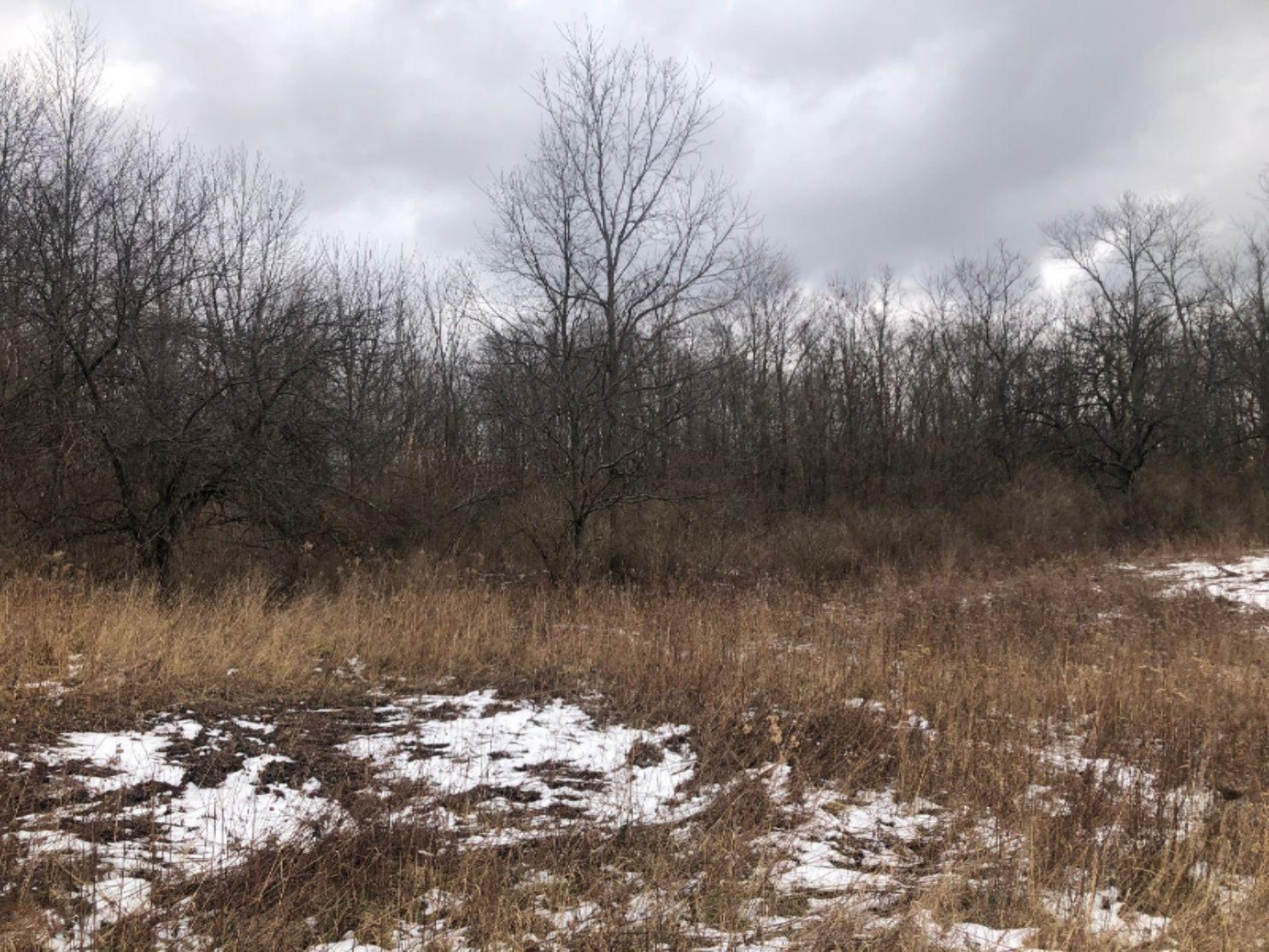 1803 120th Avenue Hopkins, MI 49328 - Photo 17 of 20 17