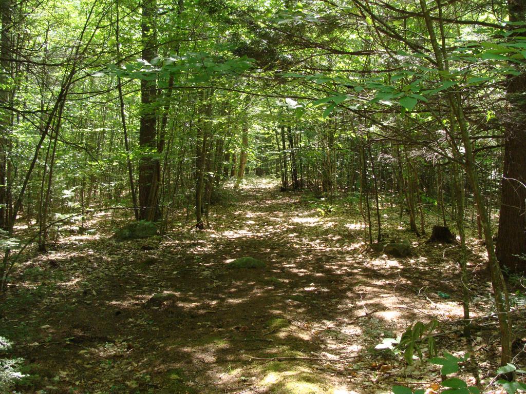 M245-l16 Miller Road New Durham, NH 03855 - Photo 3 of 10 Gallery Image 3