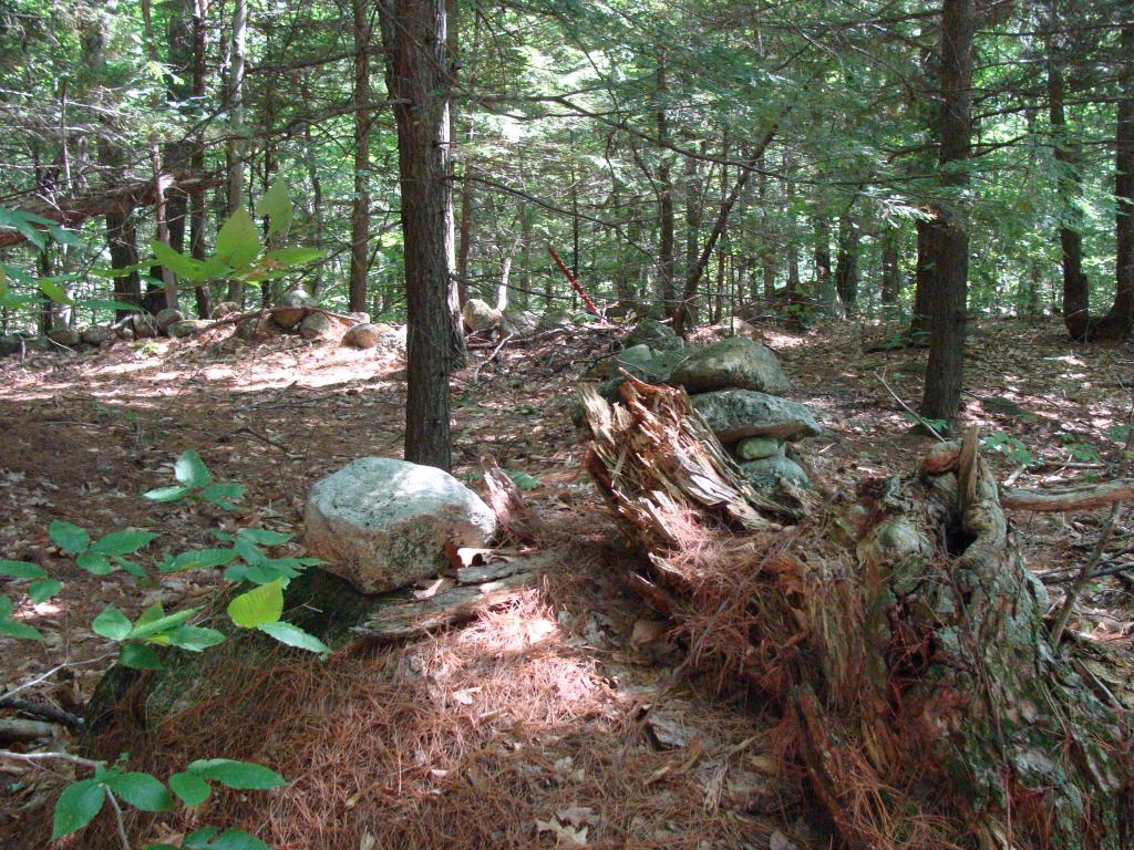 M245-l16 Miller Road New Durham, NH 03855 - Photo 5 of 10 Gallery Image 5