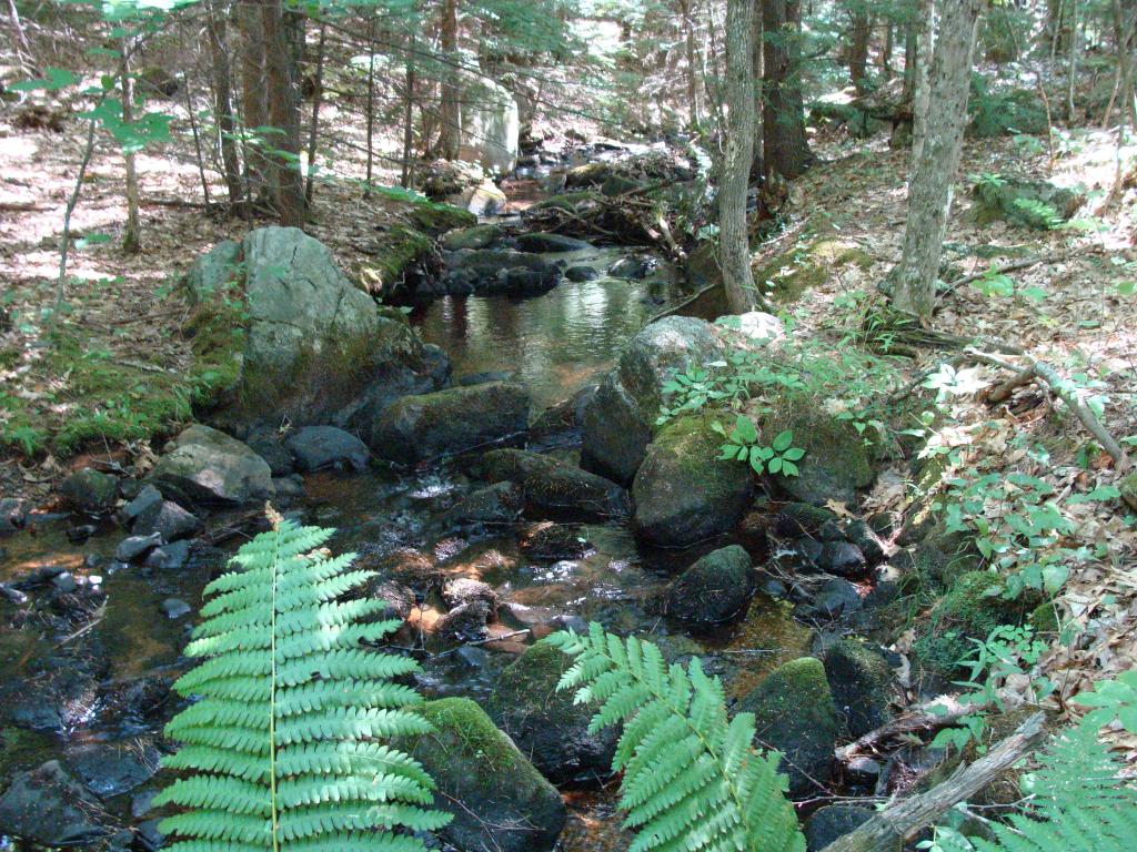 M245-l16 Miller Road New Durham, NH 03855 - Photo 8 of 10 Gallery Image 8
