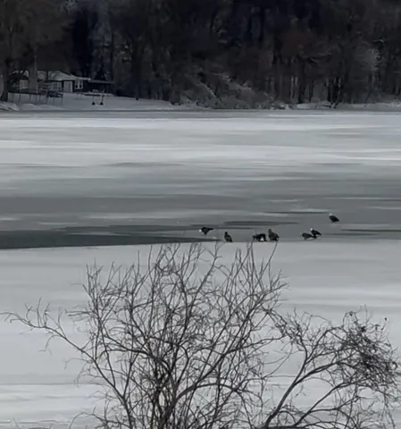 $699,900 | 6255 232nd Street West, Faribault, MN 55021