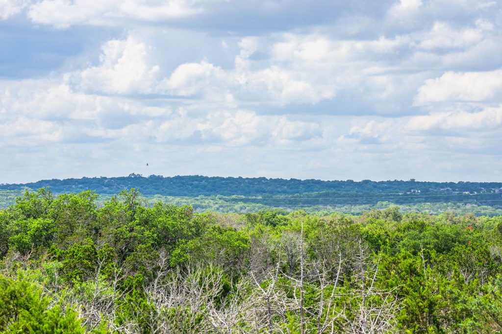 0 Jackson Ranch Rocksprings, TX 78880 - Photo 17 of 27
