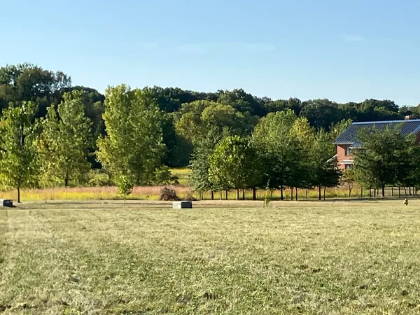 a view of outdoor space