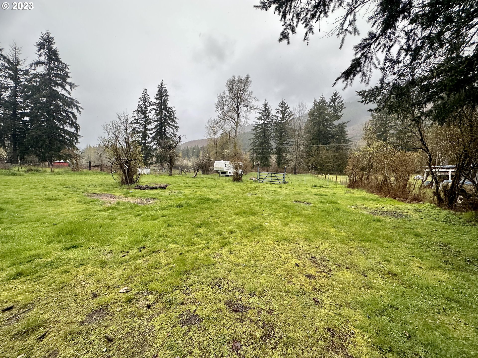 37681 Row River Road Dorena, OR 97434 - Photo 5 of 16 a large tree with lots of trees in it