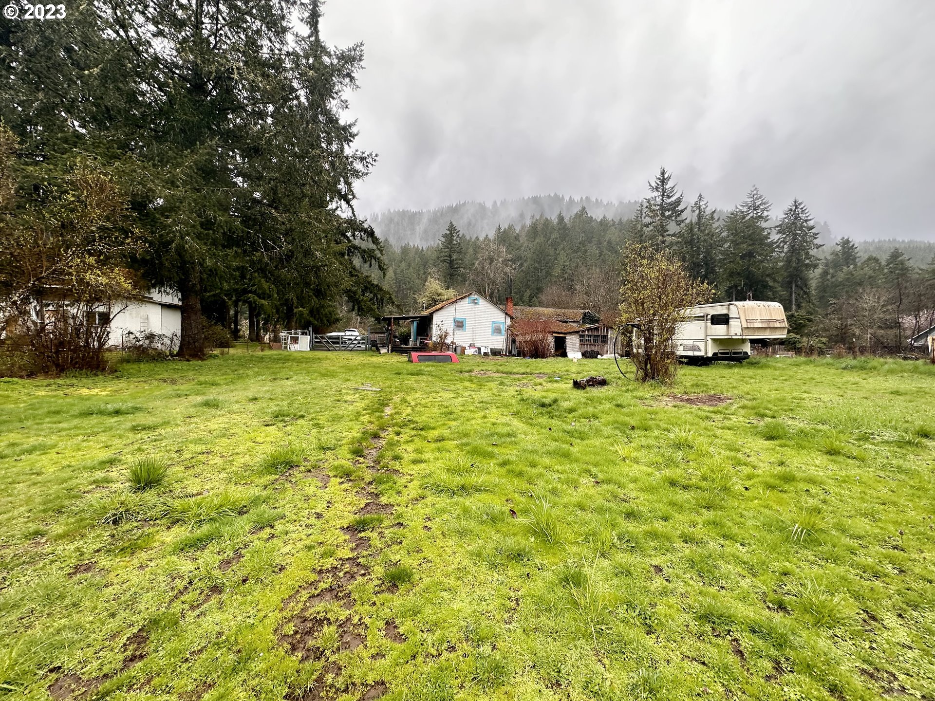 37681 Row River Road Dorena, OR 97434 - Photo 7 of 16 a view of a trees with barn in the background