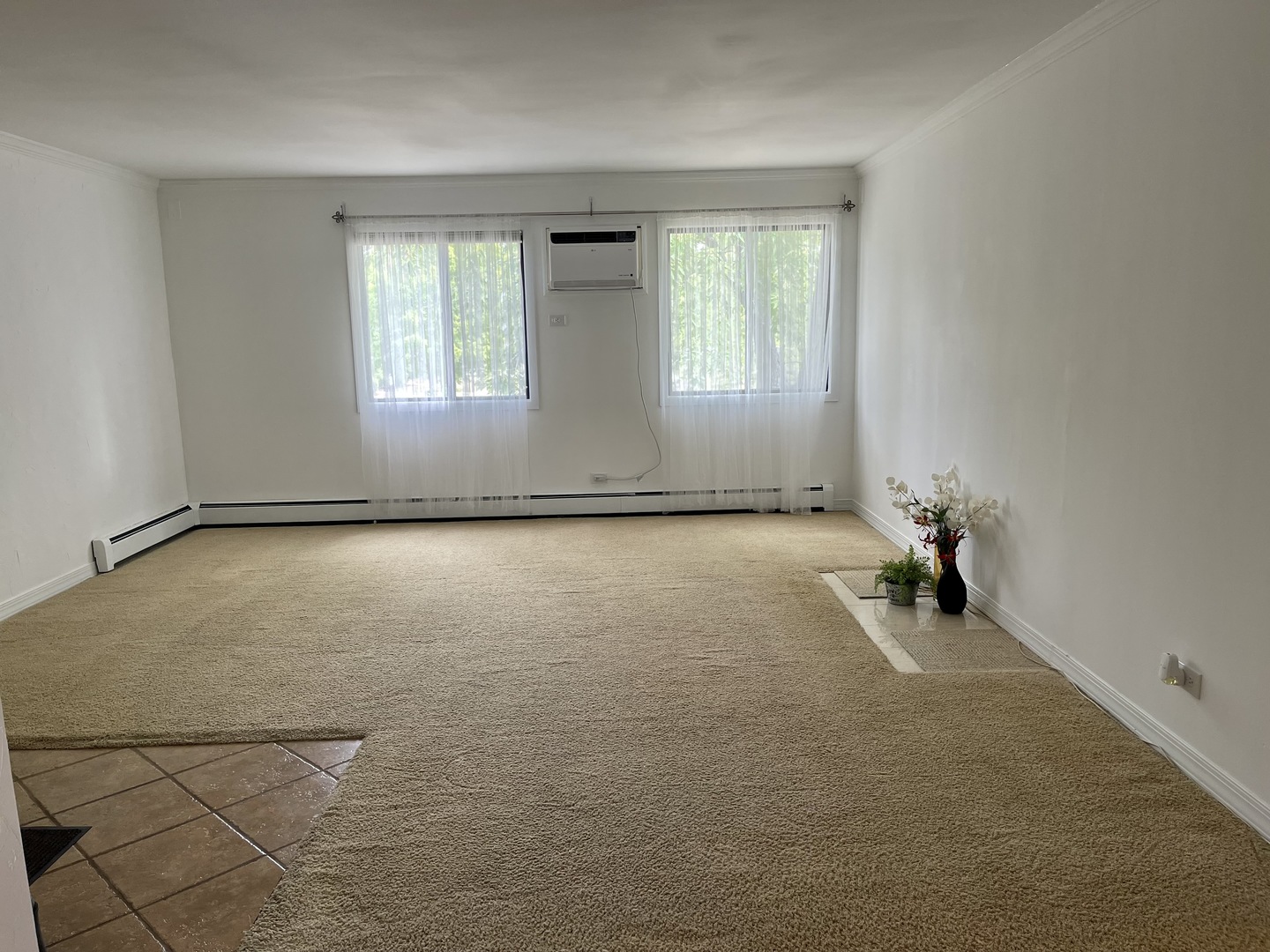 396 Echo Lane, Unit 3 Aurora, IL 60504 - Photo 2 of 20 an empty room with windows