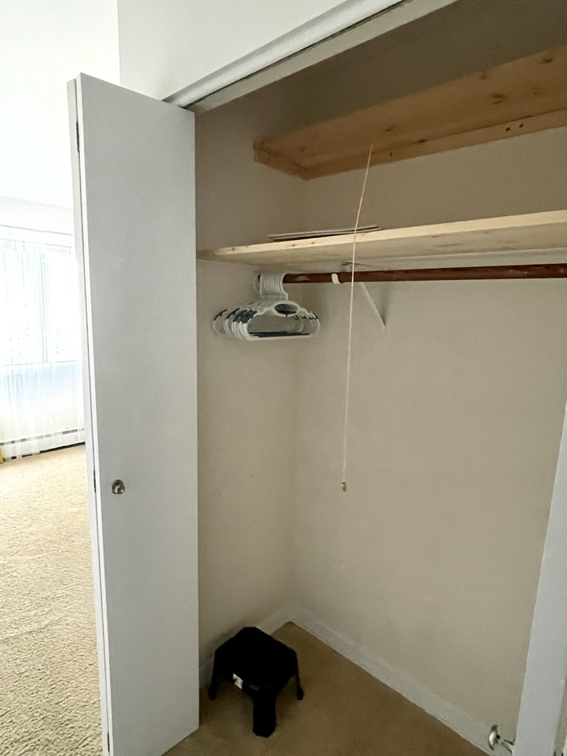 396 Echo Lane, Unit 3 Aurora, IL 60504 - Photo 15 of 20 a close view of a closet