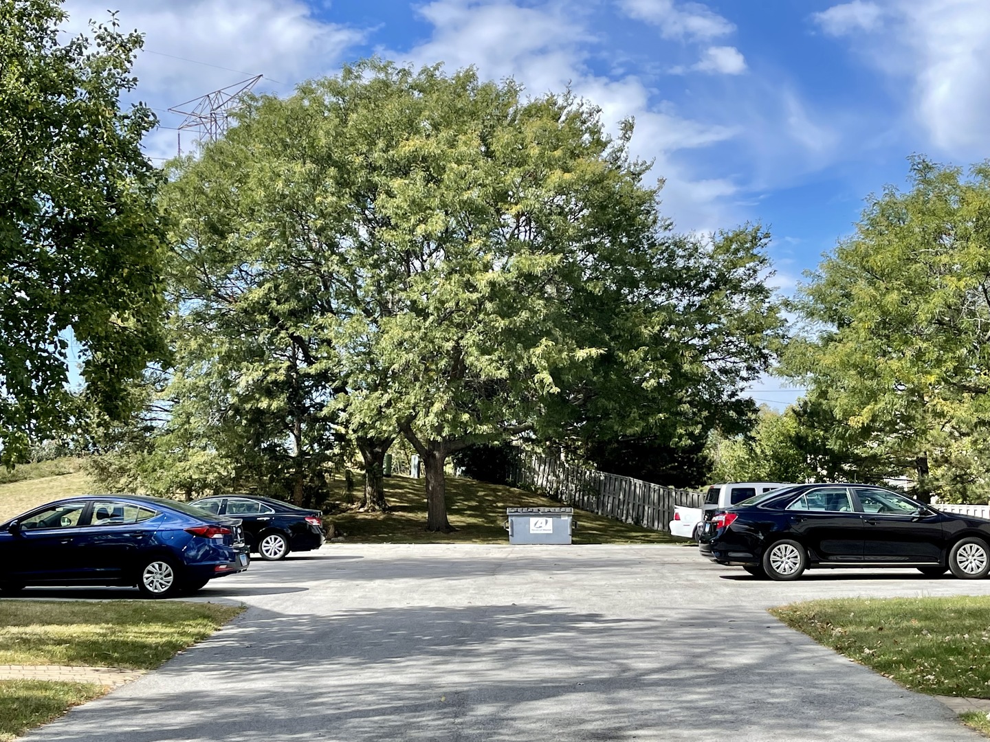 396 Echo Lane, Unit 3 Aurora, IL 60504 - Photo 20 of 20 a view of street with parked cars