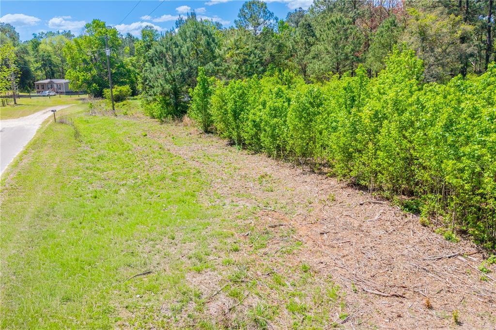 5781 Southwest 91st Place Lake Butler, FL 32054 - Photo 6 of 6 a view of a yard with plants