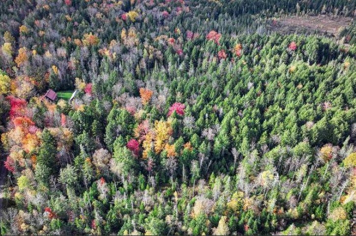1021 Woods Road Warren, VT 05674 - Photo 11 of 24