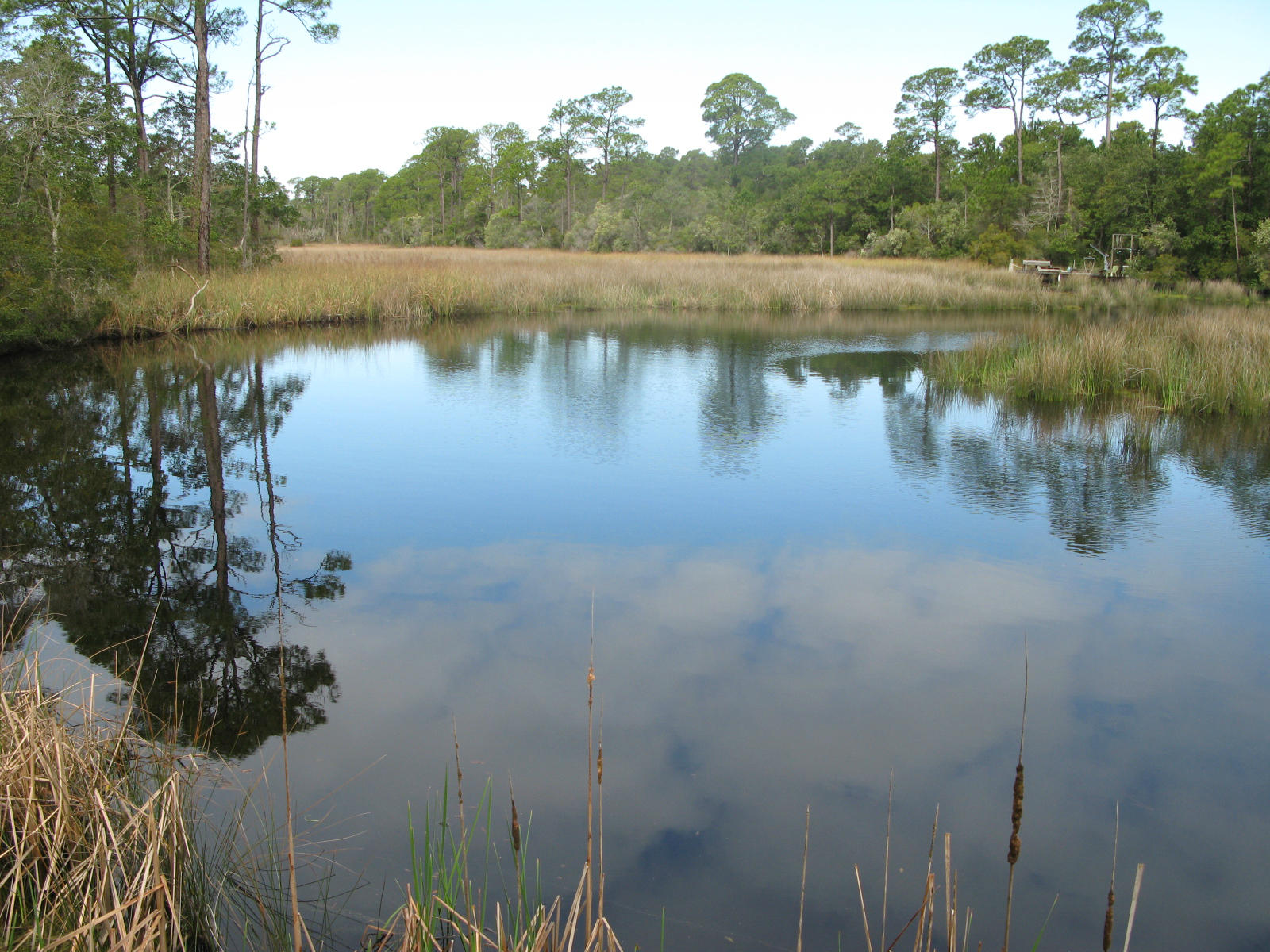 X X Pine Inlet Beach, FL 32461 - Photo 8 of 9 a view of a lake in between two large trees