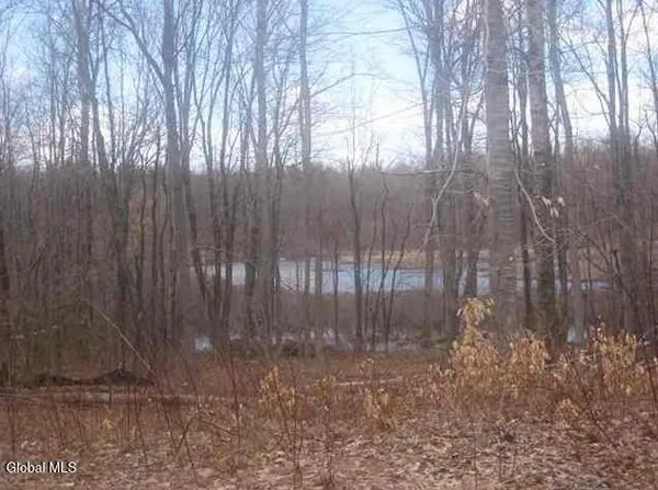 $50,000 | 1980 Weast Road, Princetown, NY 12137