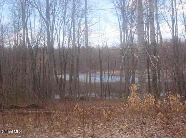 1980 Weast Road Princetown, NY 12137 - Photo 1 of 3 Screenshot 2026-07-02 143108