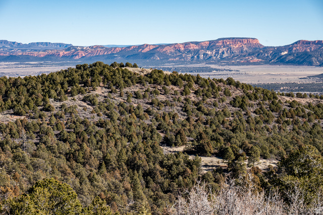 1955 West Mammoth Crk Road Hatch, UT 84735 - Photo 14 of 52 Expansive natural landscape featuring rolling hills covered in evergreen trees