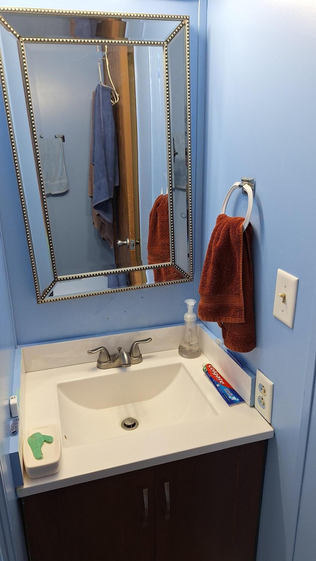 2830 Hayes Road Muir, MI 48860 - Photo 8 of 30 20250401_105208 (Large)