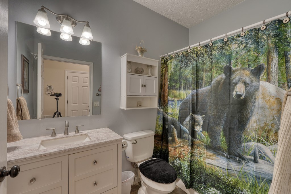 79 Mashie Lane Murphy, NC 28906 - Photo 40 of 76 a bathroom with a granite countertop sink a toilet and a mirror