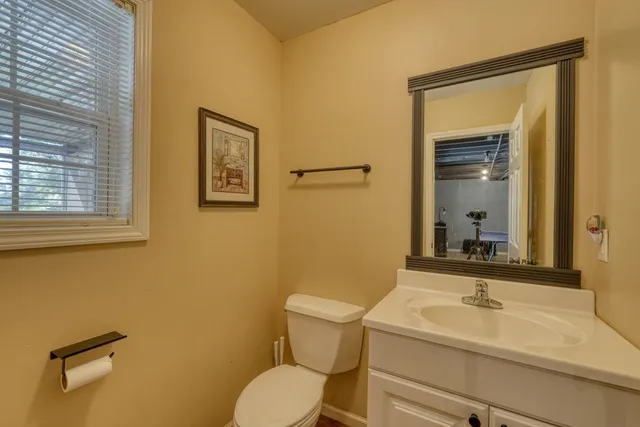 a view of a lush green forest with trees and grass