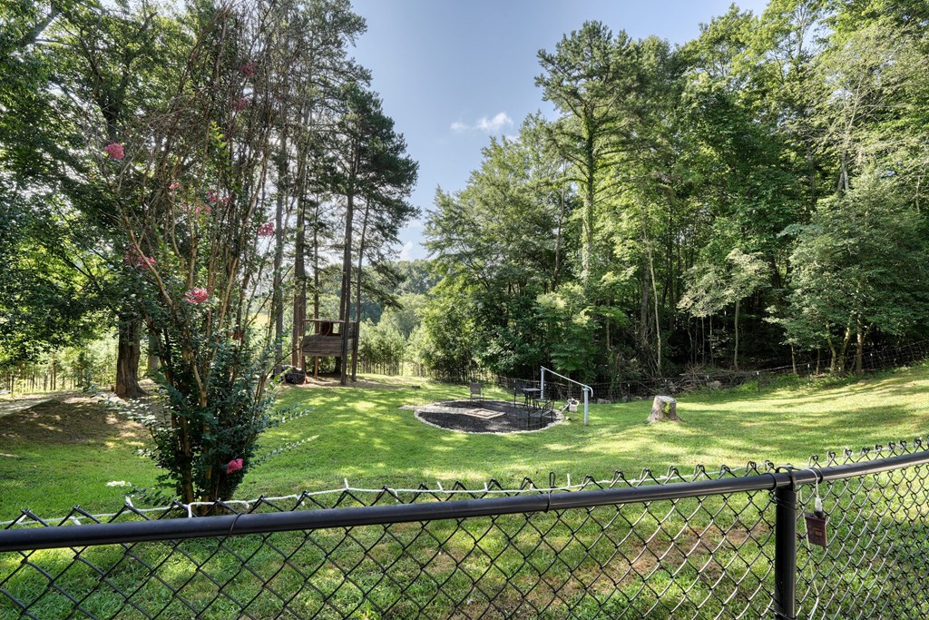 79 Mashie Lane Murphy, NC 28906 - Photo 69 of 76 a view of a tree in a yard