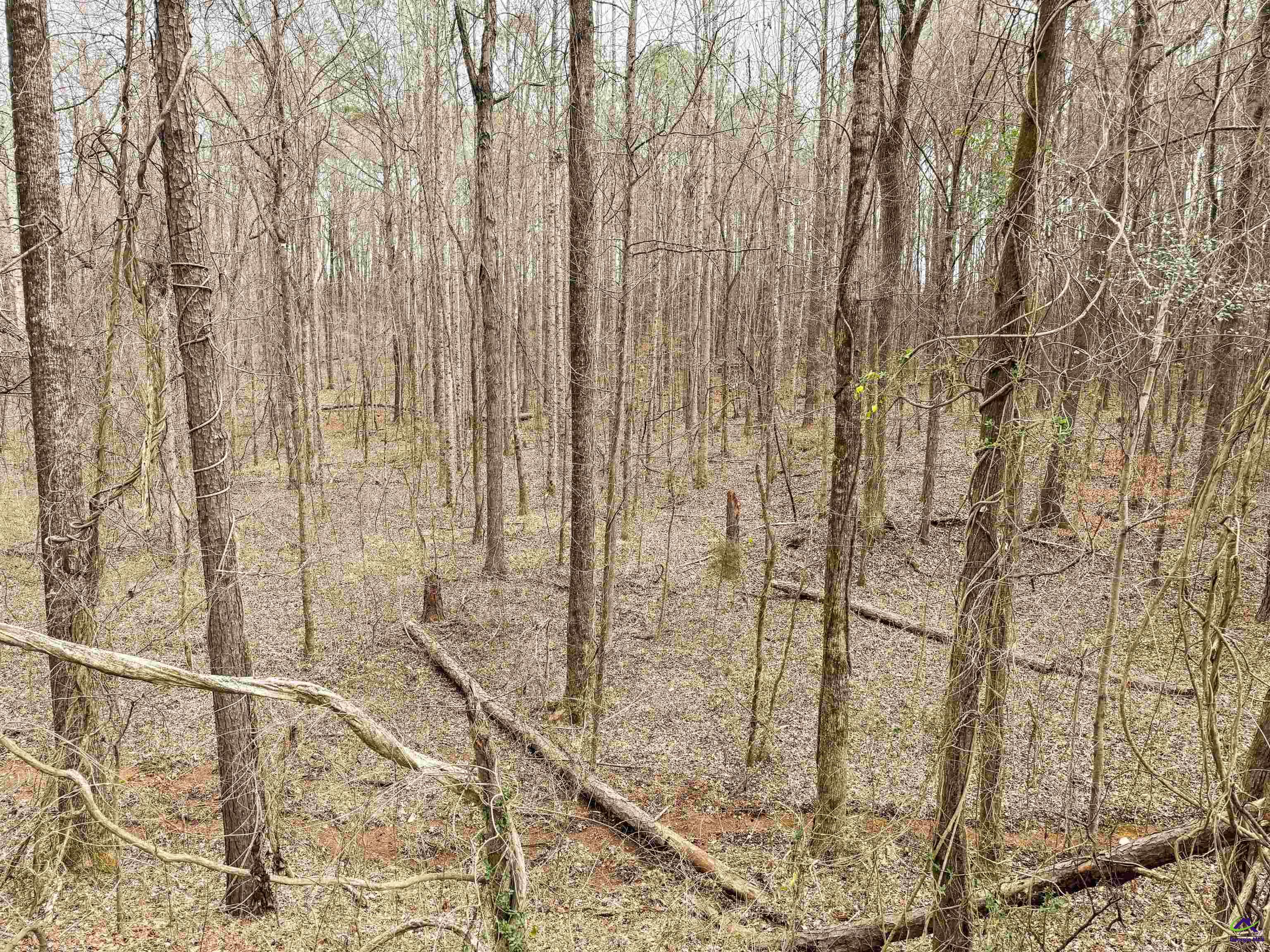 5601 Clay Road Musella, GA 31066 - Photo 26 of 30 Gallery Image 26