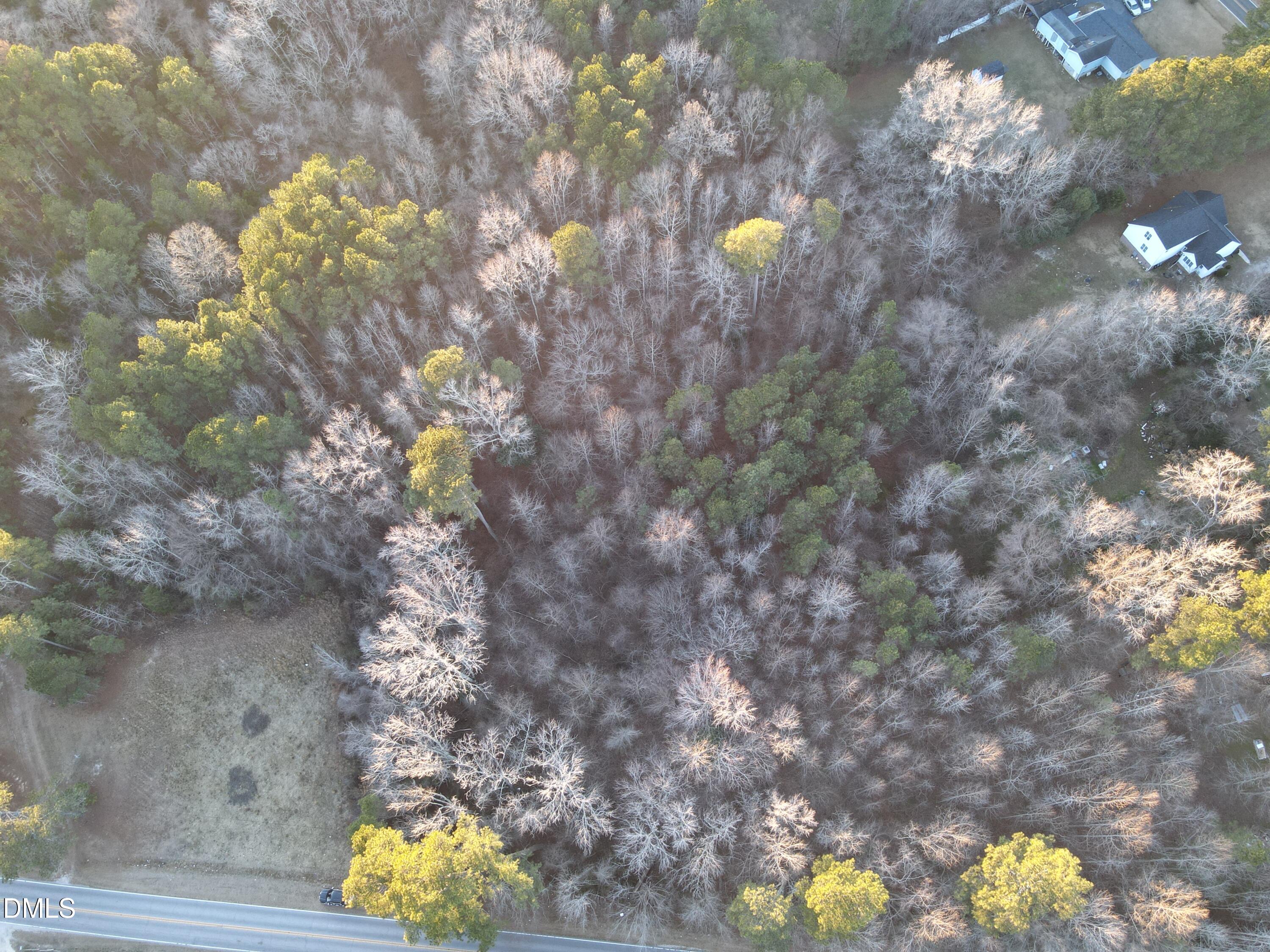 0 Shepard School Road Zebulon, NC 27597 - Photo 2 of 4 a view of a tree in middle of the green field