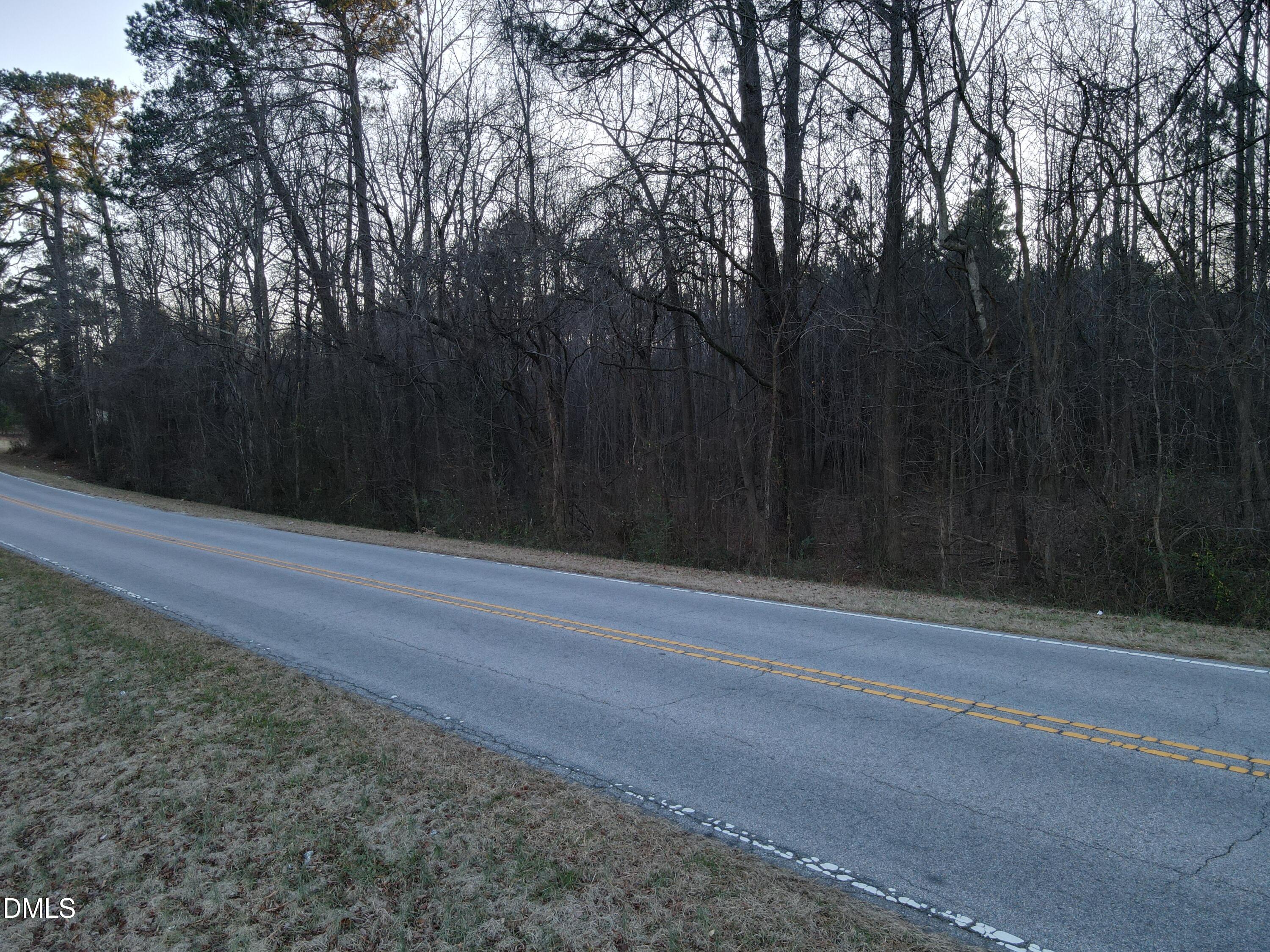 0 Shepard School Road Zebulon, NC 27597 - Photo 4 of 4 a view of backyard with green space
