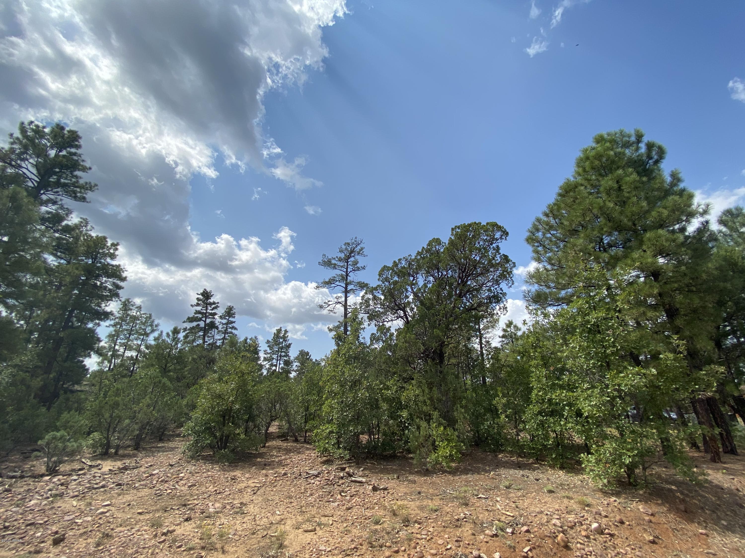 4431 West Falling Leaf Road Show Low, AZ 85901 - Photo 5 of 6 Gallery Image 5