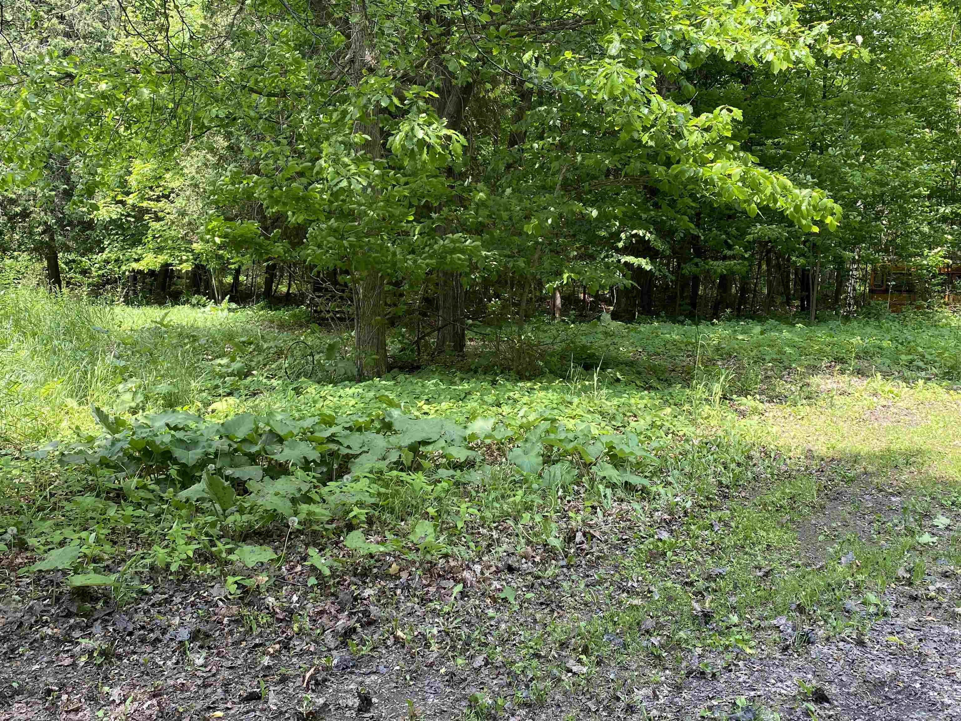 208 Littlewoods Road Alburgh, VT 05440 - Photo 33 of 34 Gallery Image 33