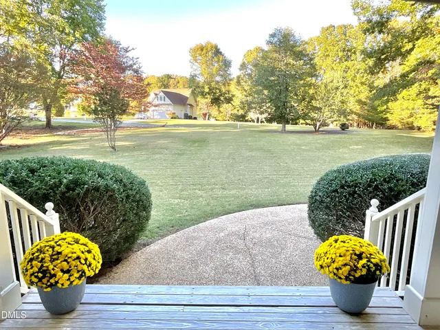 a view of a garden with potted plants
