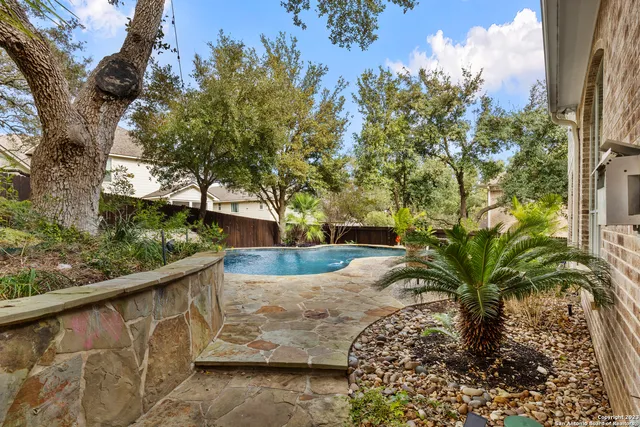 a view of a yard with plants