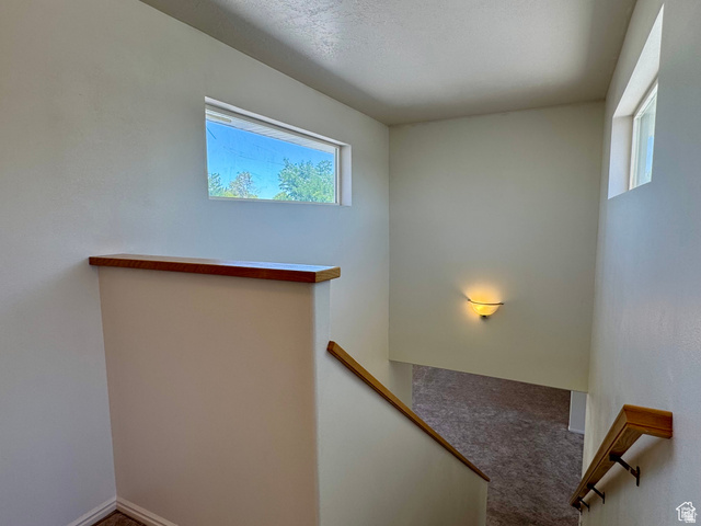 461 Topaz Boulevard, Unit 6 Delta, UT 84624 - Photo 23 of 45 Stairs