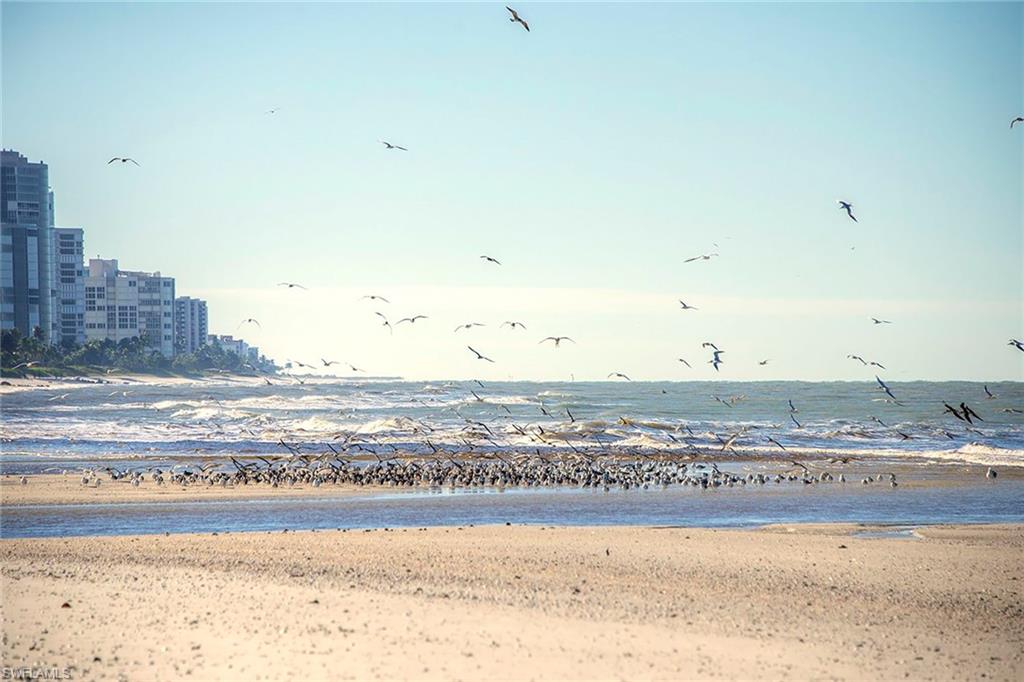 691 Annemore Lane Naples, FL 34108 - Photo 45 of 45