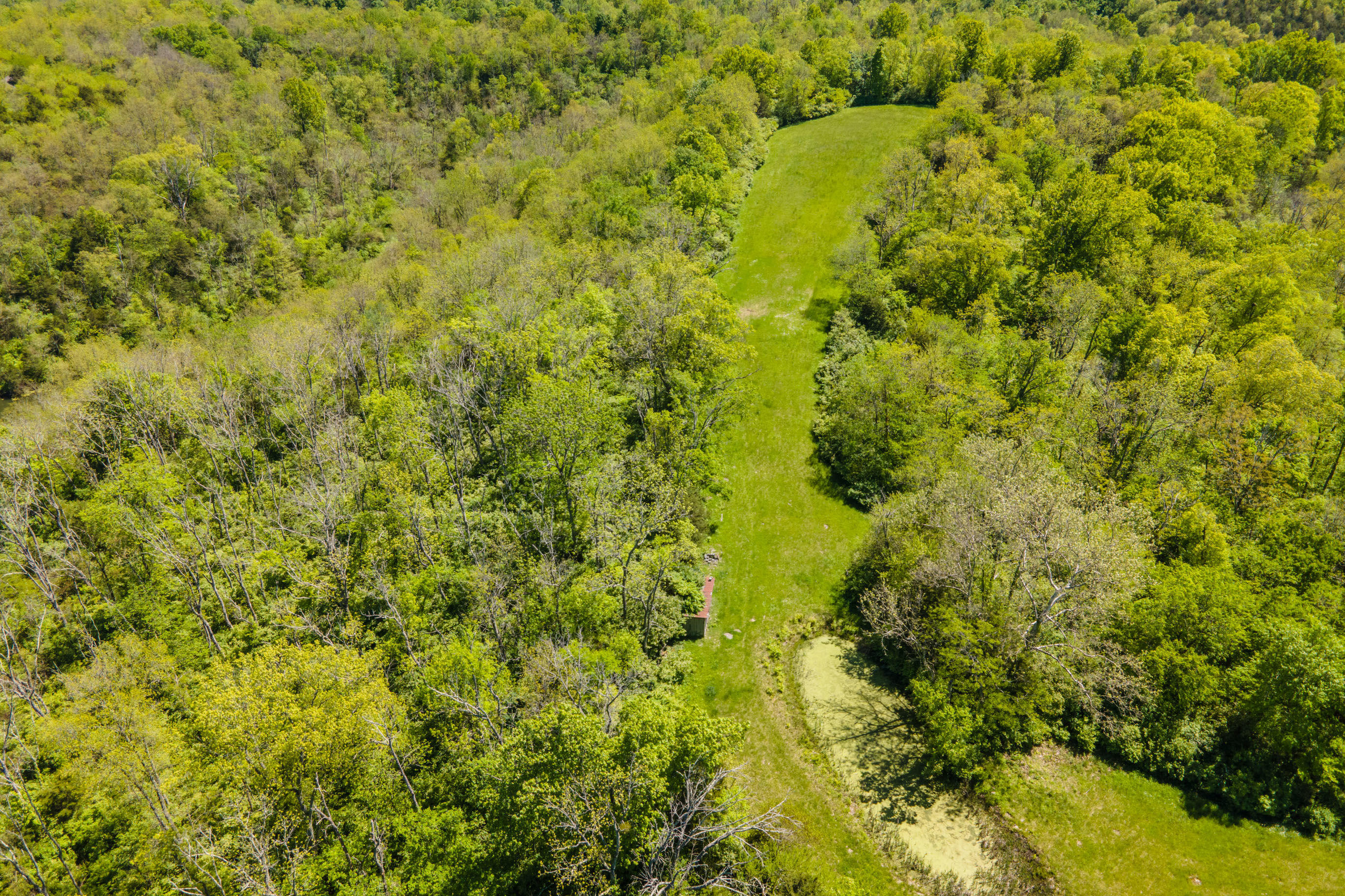 2080 Elm Fork Road Nicholasville, KY 40356 - Photo 79 of 91 20210512-2080-Elmfork-Rd-smith-drone-rea