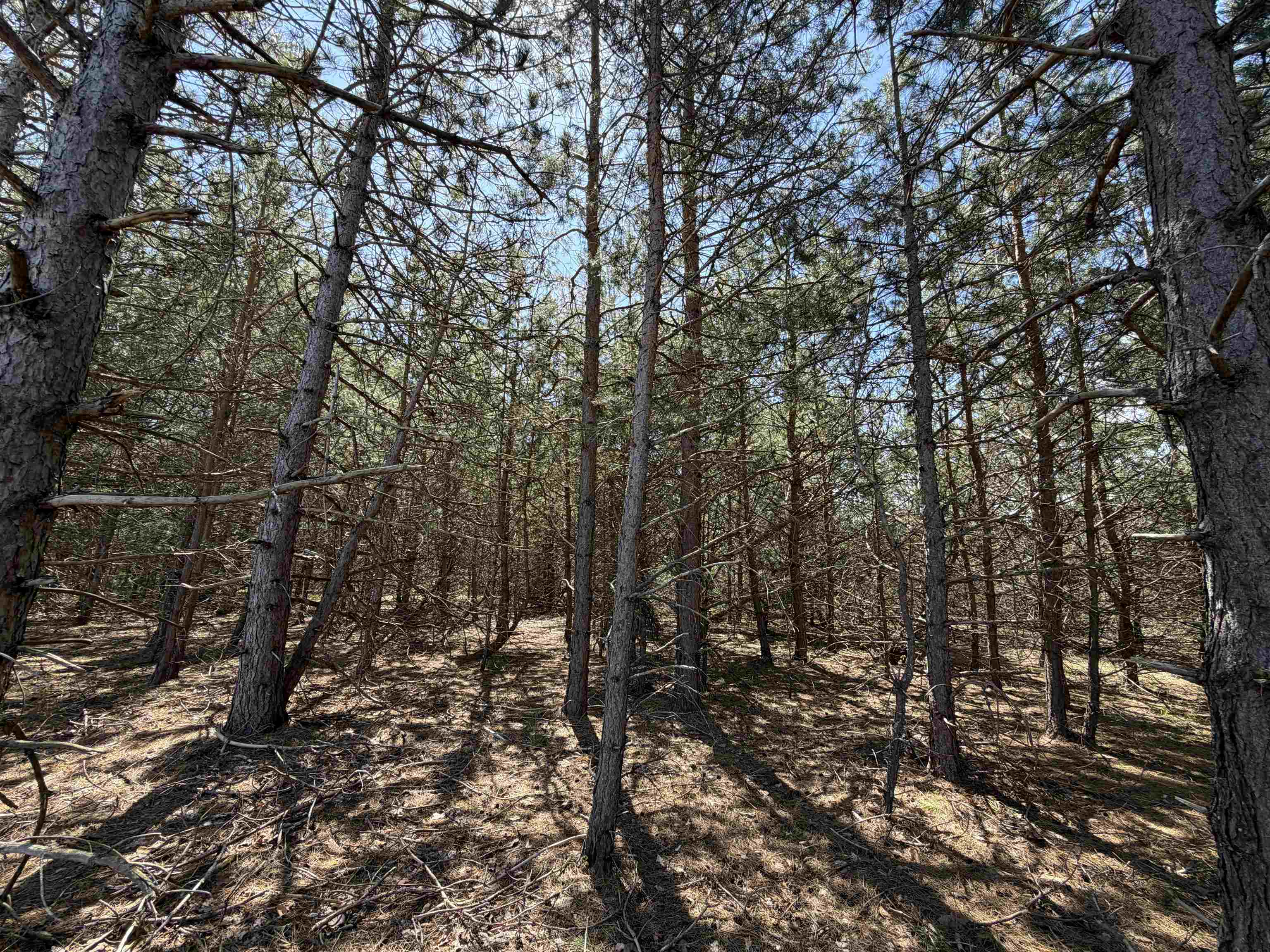 13158 Cinder Road Beulah, MI 49617 - Photo 11 of 46