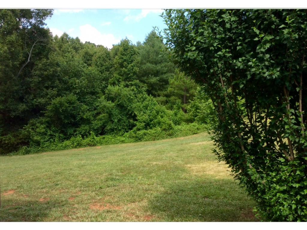 0 Johnson Road Greeneville, TN 37743 - Photo 1 of 1 Photo 1